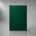 Бизнес - блокнот Альт А4 (198 х 285 мм) Office 60 л., зеленый
