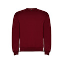 Свитшот с начесом Clasica детский, гранатовый