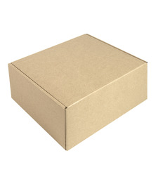 Коробка подарочная Big BOX, размер: 24 x 21 x 11 см  картон МГК бур., самосборная с логотипом