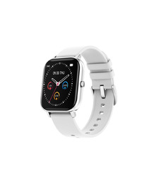 Смарт-часы Canyon SW-74 Wildberry , IP67, серебристый (Р) с логотипом