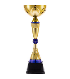 Кубок Awardee, средний, синий с логотипом