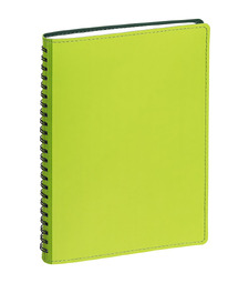Ежедневник Spring Shall, недатированный, зеленый с логотипом