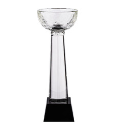 Кубок Cupture, большой с логотипом