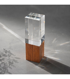 Награда Wood and glass с логотипом