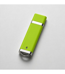 Флеш-карта USB 2.0 16 Gb Орландо, зеленый с логотипом