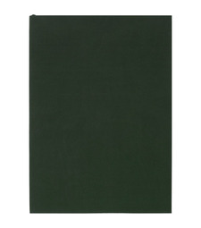 Ежедневник Flat Light, недатированный, зеленый с логотипом