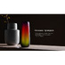 Портативная колонка TWS mySound Disco, 16 Вт с логотипом