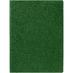 Ежедневник в суперобложке Brave Book, недатированный, зеленый с логотипом