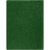Ежедневник в суперобложке Brave Book, недатированный, зеленый с логотипом